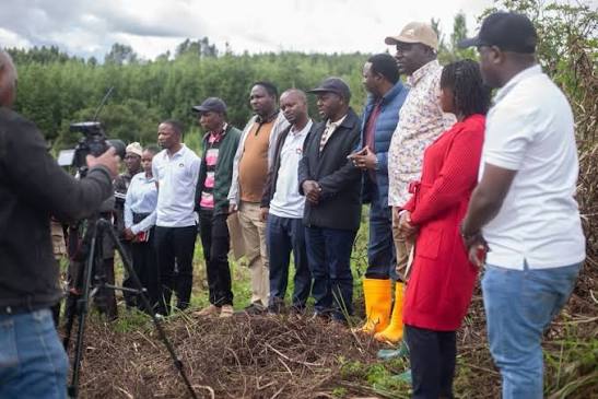 Community-Led Environmental and Agricultural Restoration, Tanzania